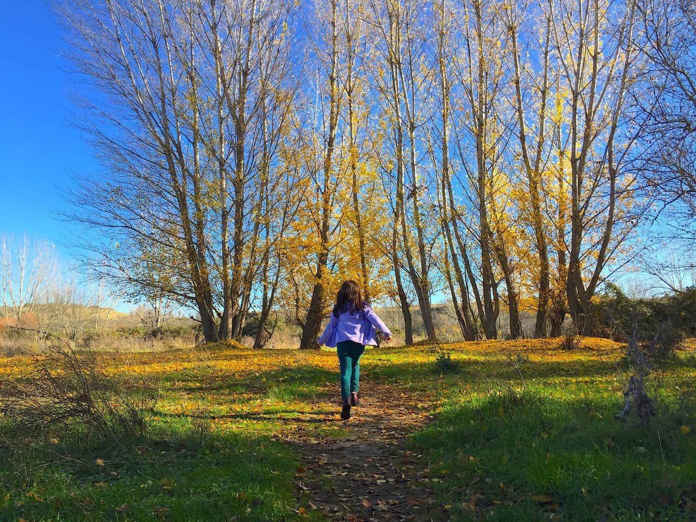 Lugares ideales para visitar en otoño