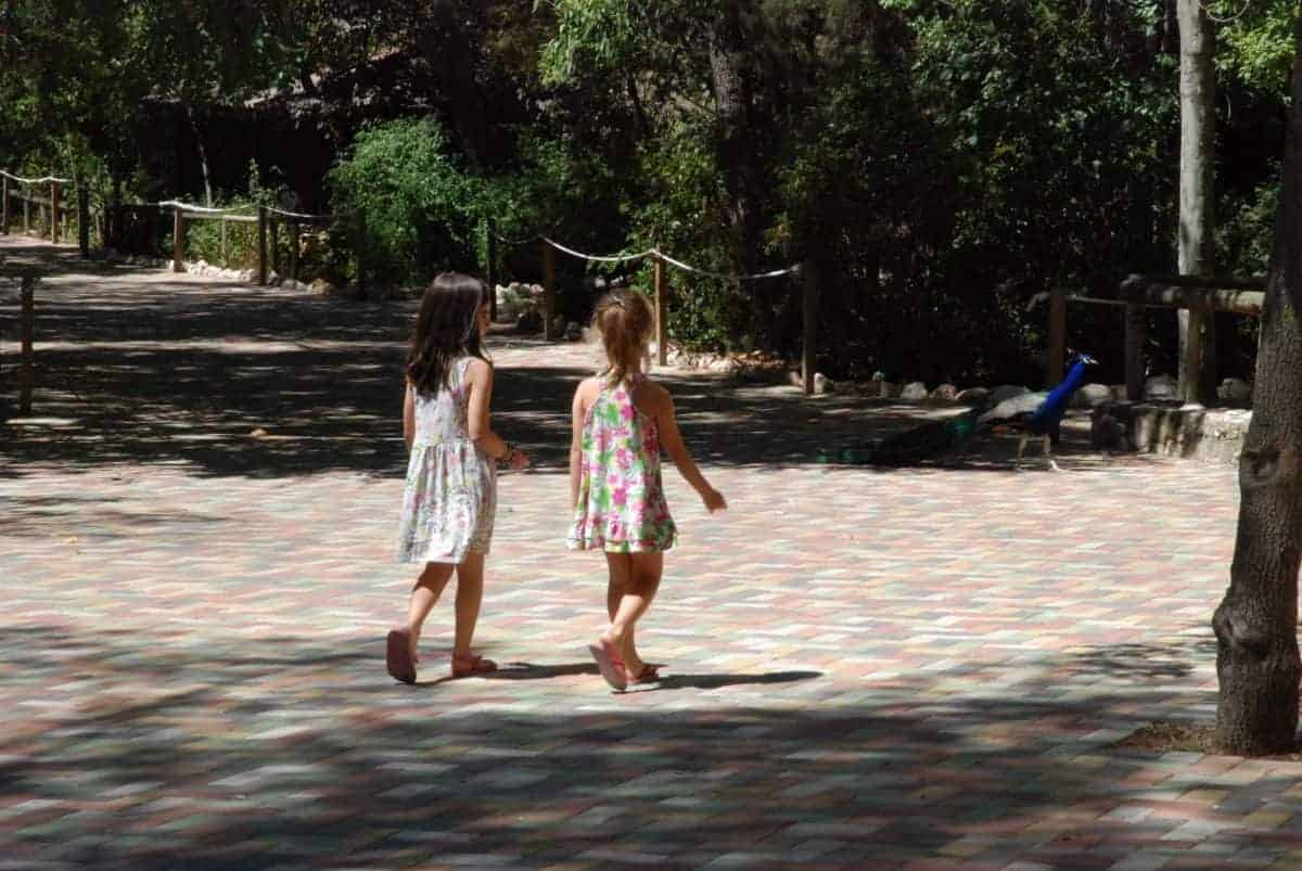 Paseando por el Zoo de Guadalajara