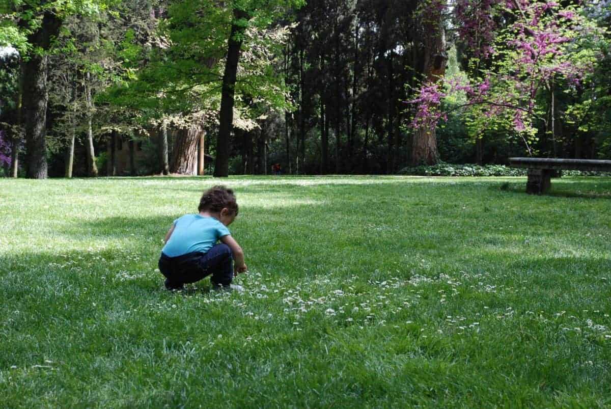 Disfrutando de El Capricho, Alameda de Osuna, Madrid