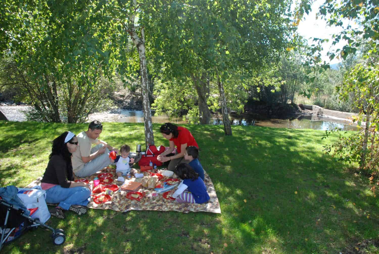 Picnic en Madrid: dónde pasar un día estupendo
