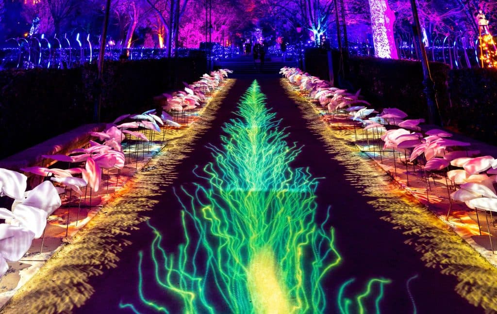 Descubre los insectos de la Navidad de Madrid con Naturaleza Encendida