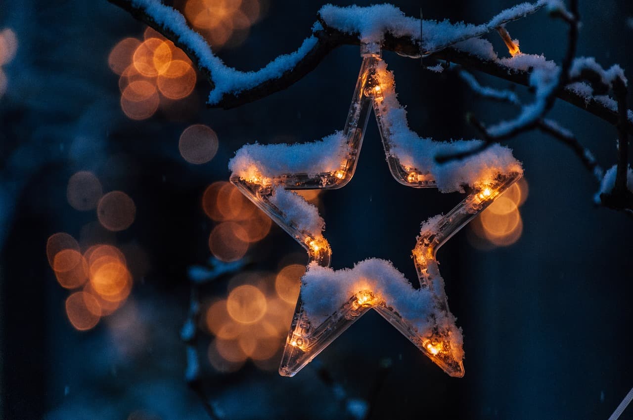 Estrella de Navidad