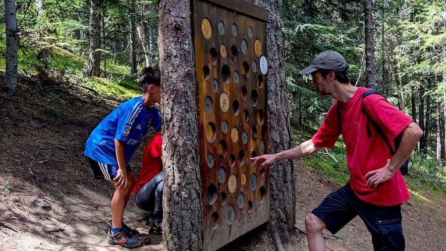 Una de las rutas Macarulla es el Bosque de Meinarons
