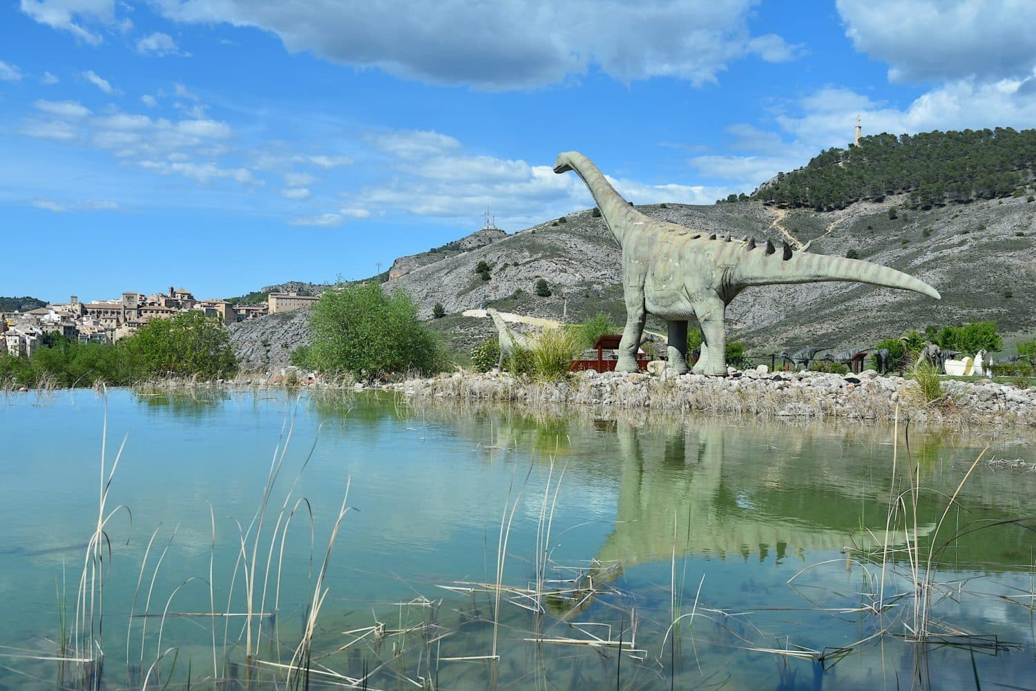 Museo Paleontológico de Castilla la Mancha (Cuenca) - MUPA