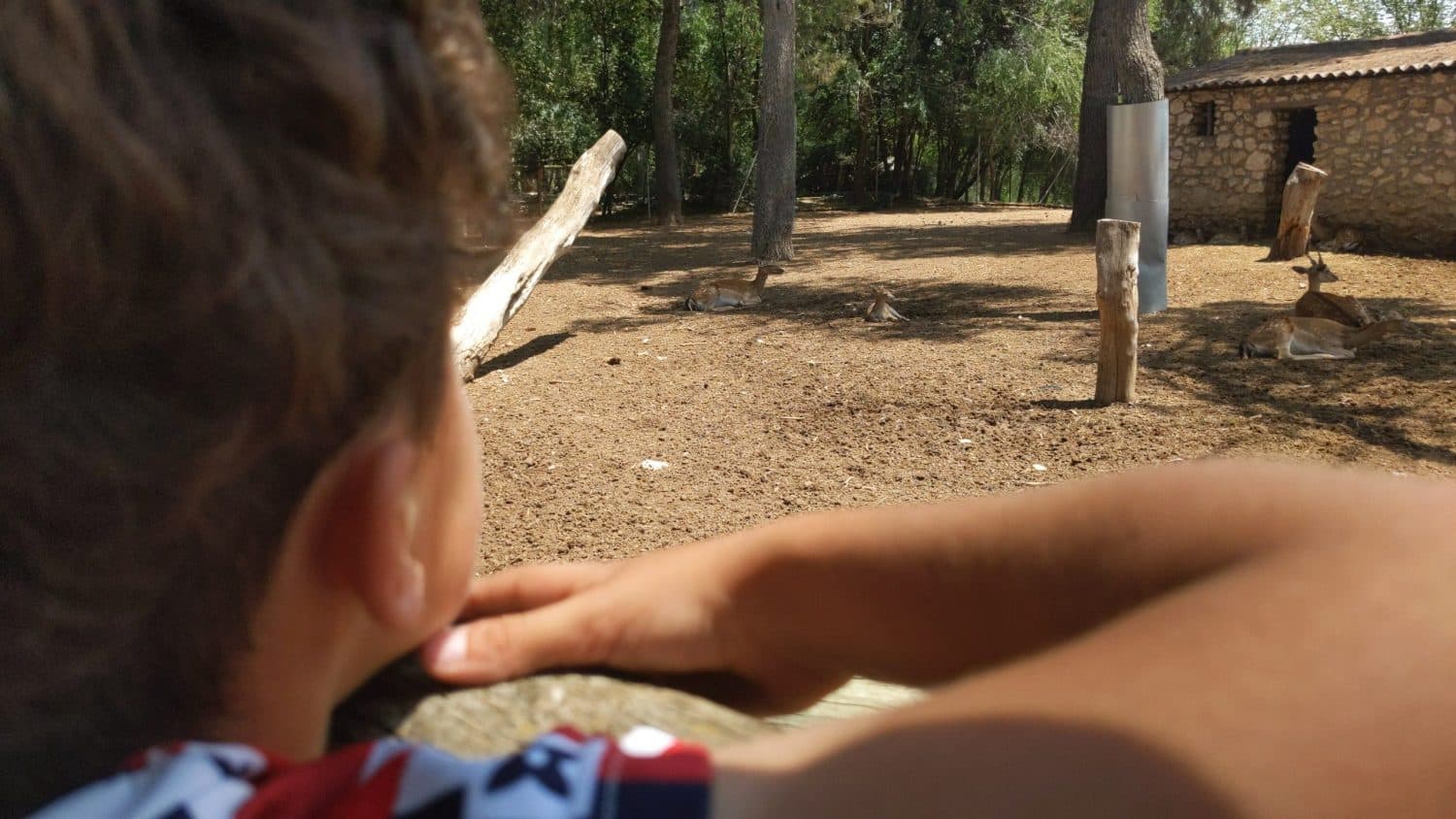 Zoo de Guadalajara