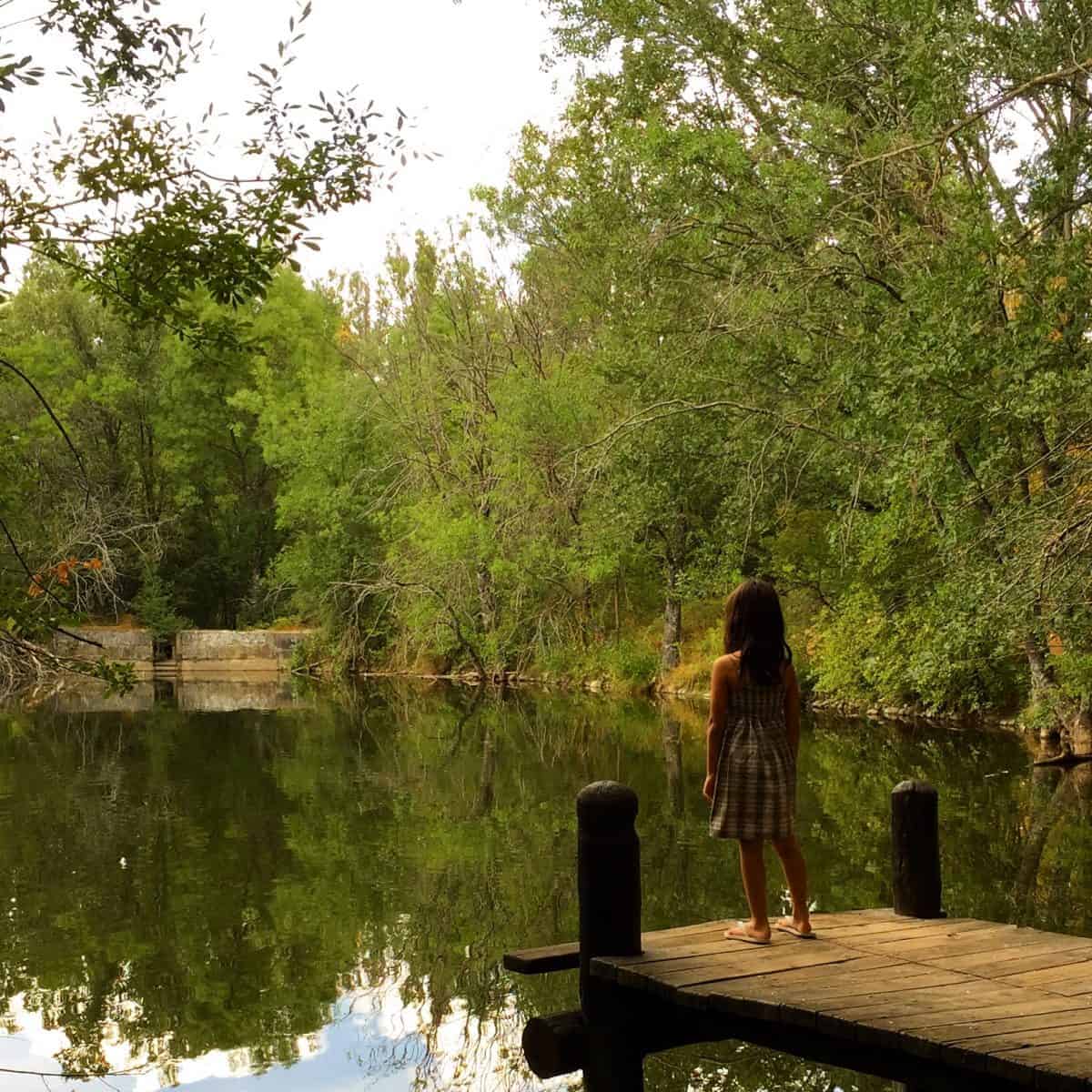 Bosque de Finlandia de Rascafría