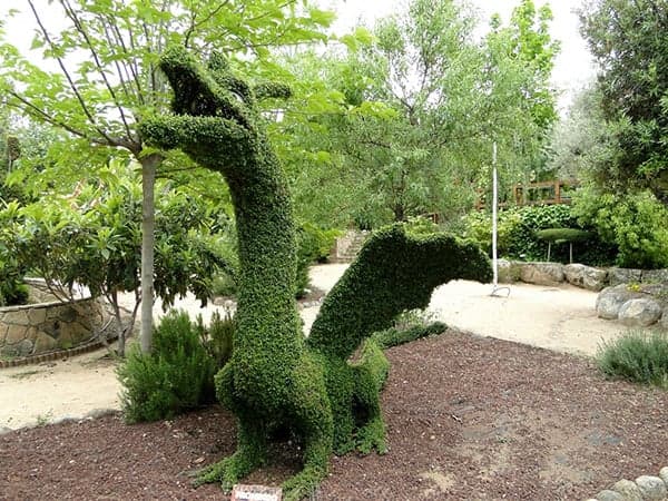 El bosque encantado de San Martín de Valdeiglesias