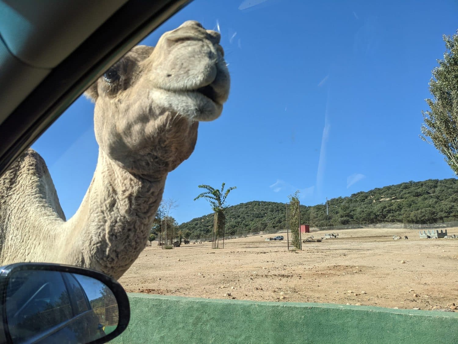 Safari Park Madrid
