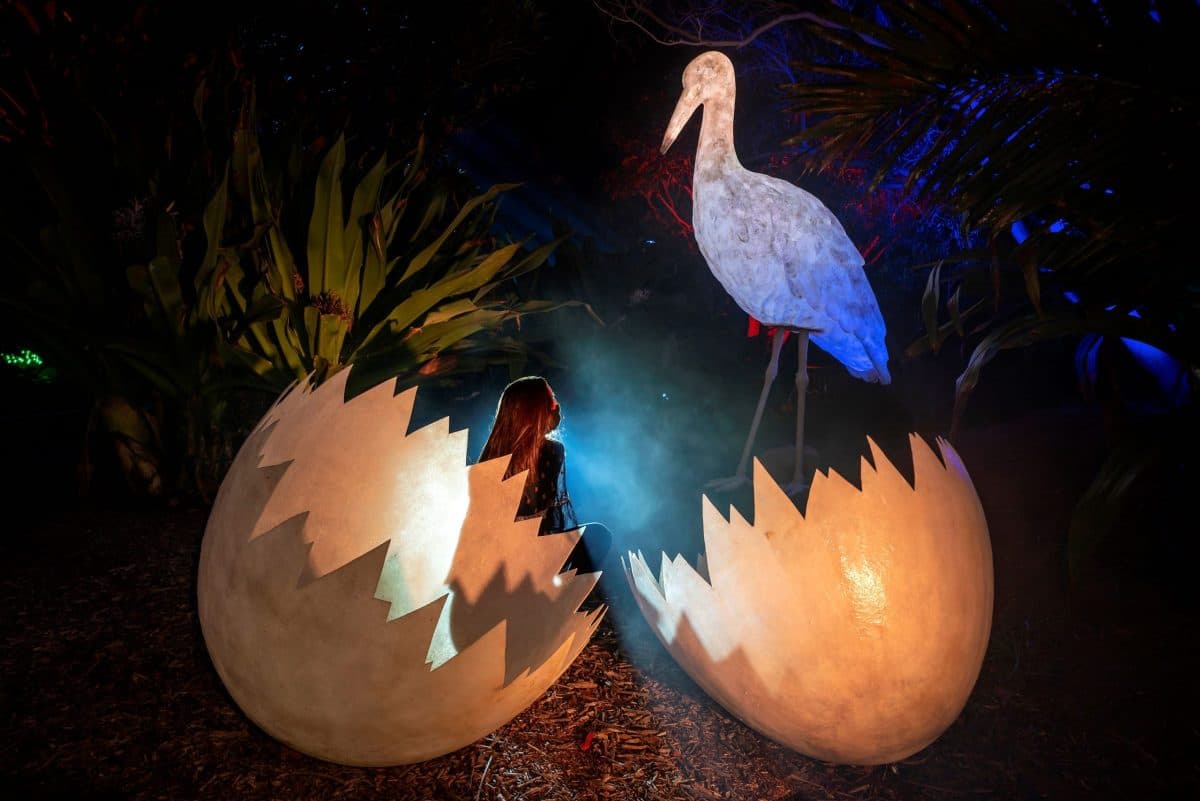 Naturaleza Encendida LIFE. Navidad de Madrid 2024